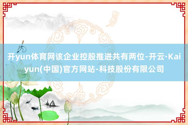 开yun体育网该企业控股推进共有两位-开云·Kaiyun(中国)官方网站-科技股份有限公司