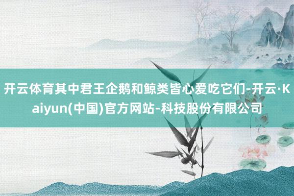 开云体育其中君王企鹅和鲸类皆心爱吃它们-开云·Kaiyun(中国)官方网站-科技股份有限公司