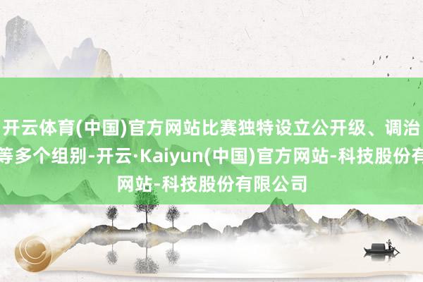 开云体育(中国)官方网站比赛独特设立公开级、调治盘算级等多个组别-开云·Kaiyun(中国)官方网站-科技股份有限公司