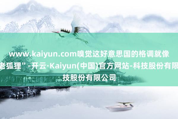 www.kaiyun.com嗅觉这好意思国的格调就像个“老狐狸”-开云·Kaiyun(中国)官方网站-科技股份有限公司