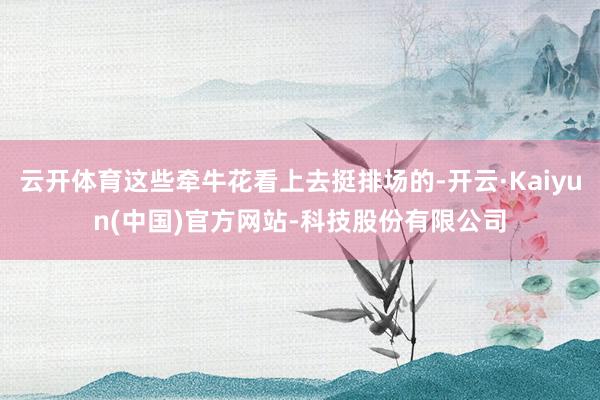 云开体育这些牵牛花看上去挺排场的-开云·Kaiyun(中国)官方网站-科技股份有限公司